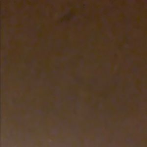 Meet your Posher, Dillon